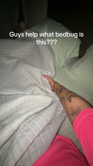 @lexiijessie
