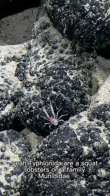 @Ocean Exploration Trust