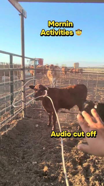 @Skylar Farming