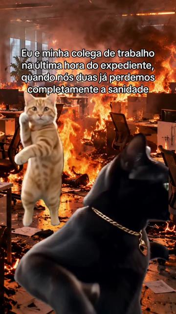 @tababadeira