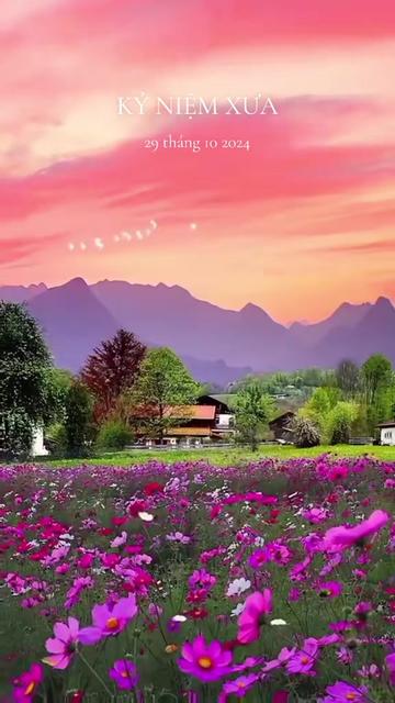 @nguyễn dung