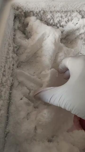 @ICEE🩷