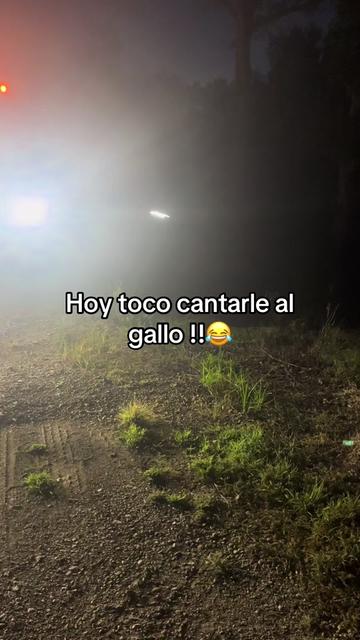 @Yeselin Cervantes