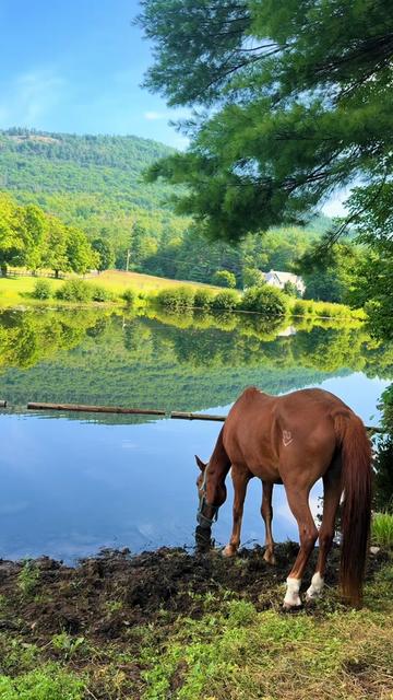 @NawabRidingClubOffical