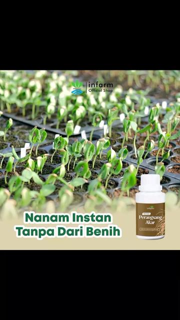 @Berkebun Berkah