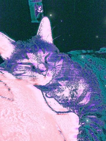 @🌙Vivi•boo•bleh🌀
