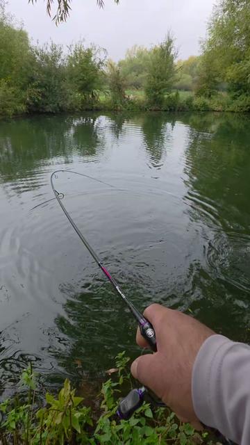 @BF Angler
