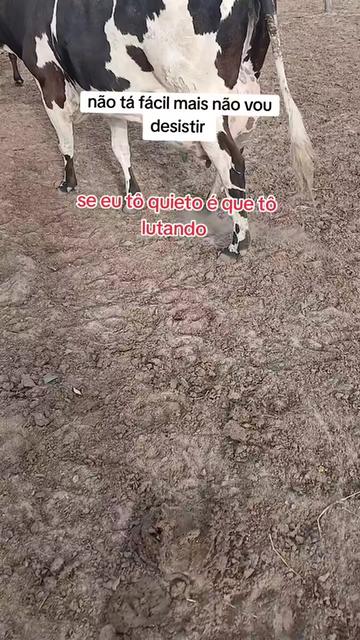 @jocriador