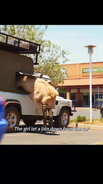 @PawlieMovies