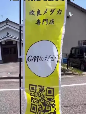 @gmmedaka.niigata