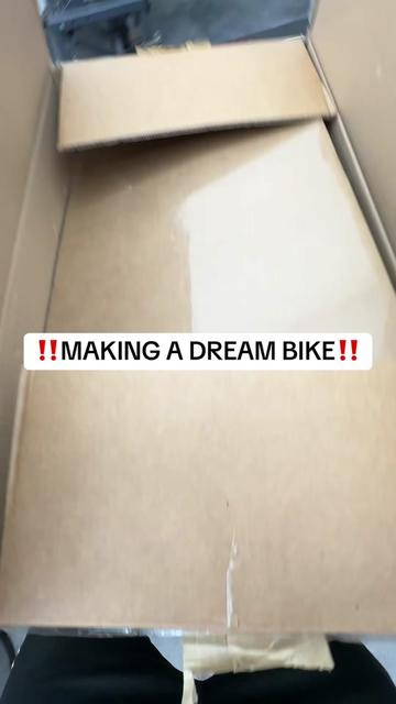 @mXrevival
