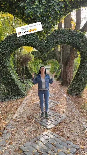 @Ada.virtual