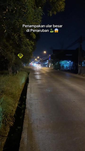 @Purbalingga