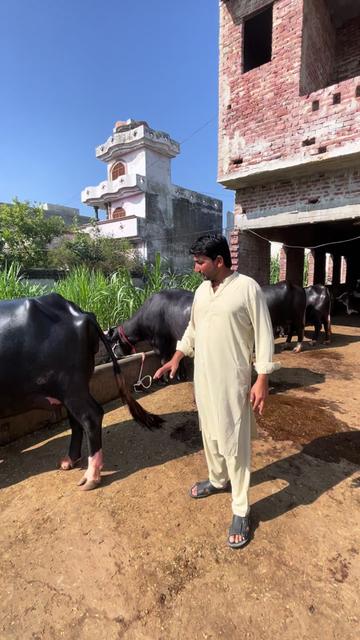 @Farming and Business Ideas