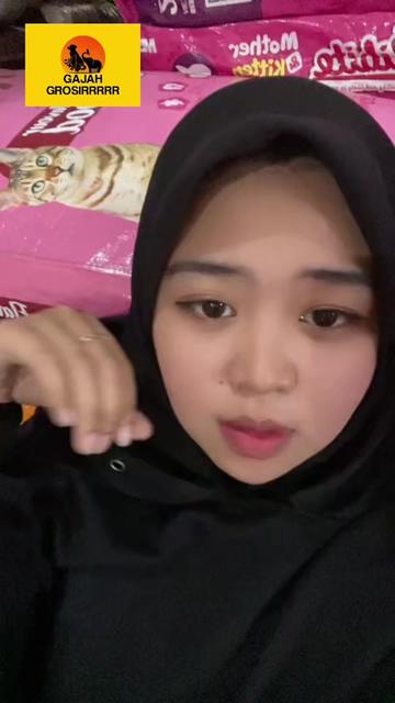 @Gajah Grosirrrrr