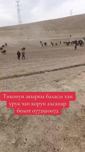 @Oskonbai Tajibaev
