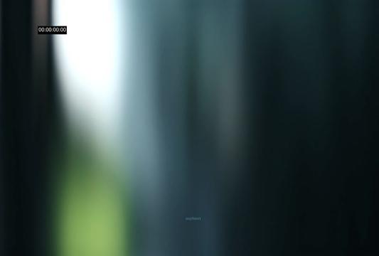 @fawn ⋆౨ৎ˚