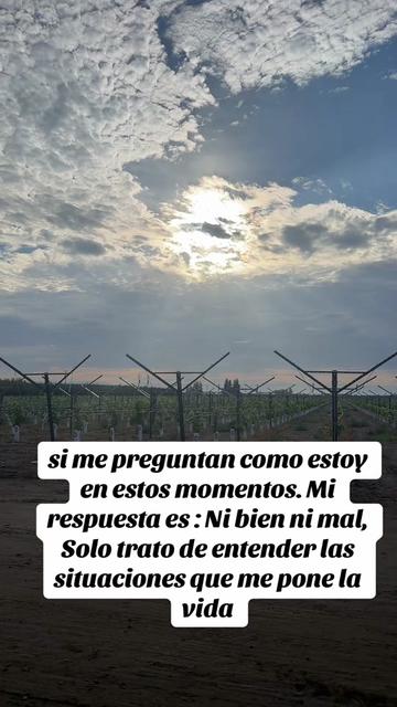 @PABLO PINEDA