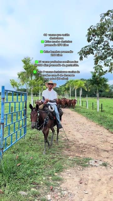 @Rehagronegocios