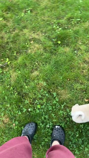 @thewinterpug
