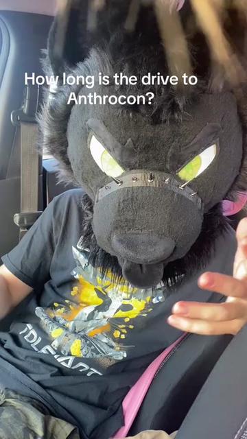 @chicagohuskygirl