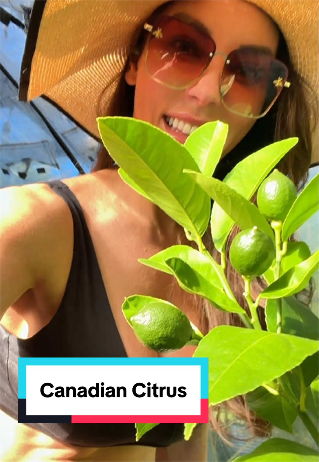 @Ava Dahlia 🇨🇦👩&zwj;🌾✌️