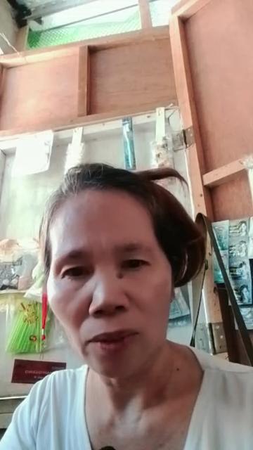 @mylife/isay15