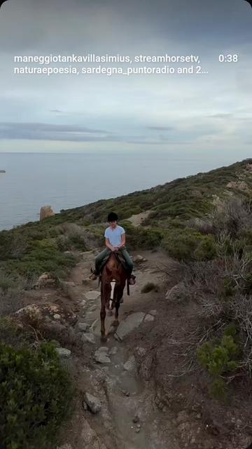 @streamhorse