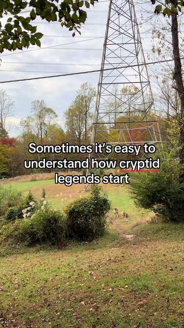 @Johns Jungle