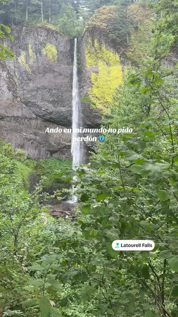@Erika Valdovinos