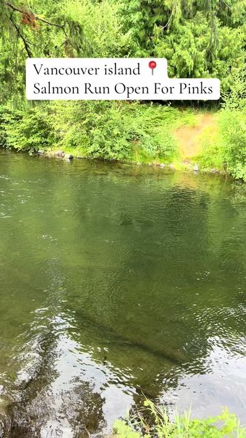 @FishingThe(250)