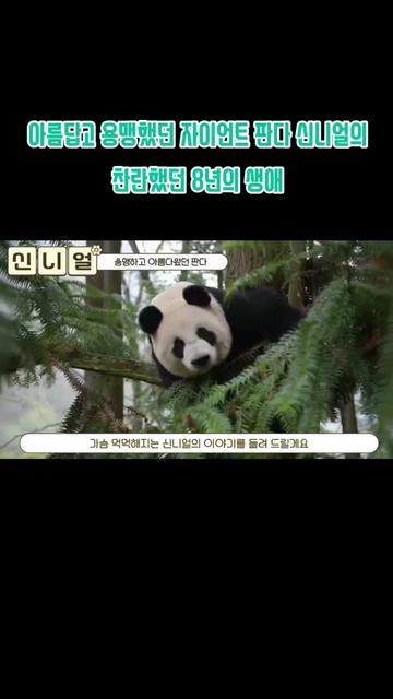 @반짝이는비니♡