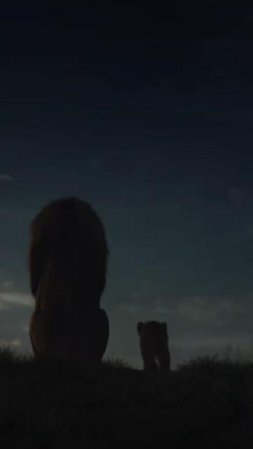 @âðœðð_ððð±ðDonâïžoyoðð±