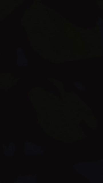 @IshmalMeher