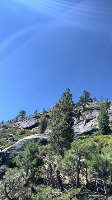 @Veronica  🫶🏼
