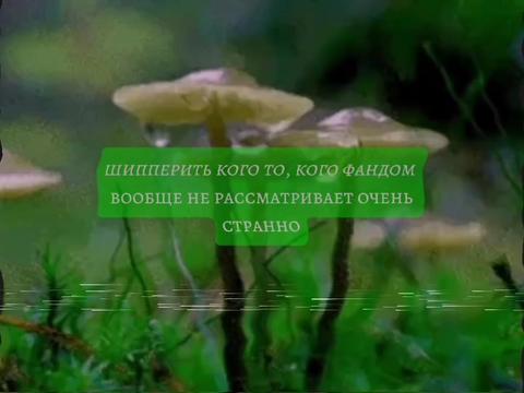 @Дага