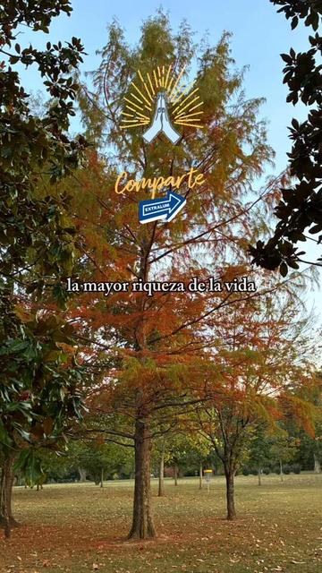 @🫂🐾♉️Masiel🫶 ⩜⃝🌈🦩
