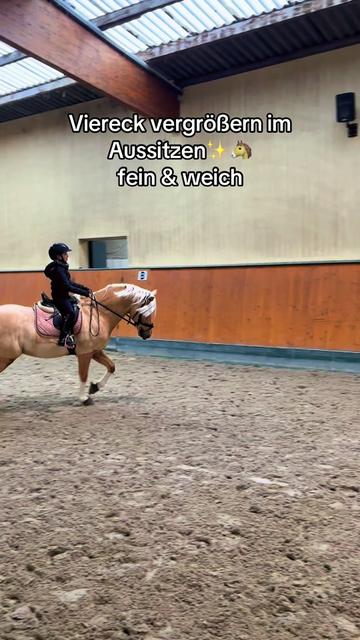 @Shanea & ihre Ponys ♥️🐴
