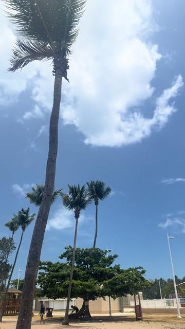 @JOACO! 🇵🇷🇵🇷