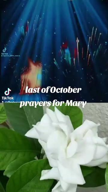 @Joandesco6❤️🪖
