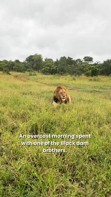 @Thornybush