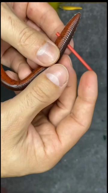 @himdoi59