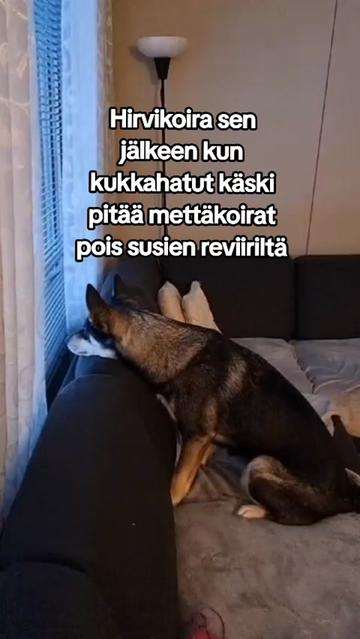 @Samira đ