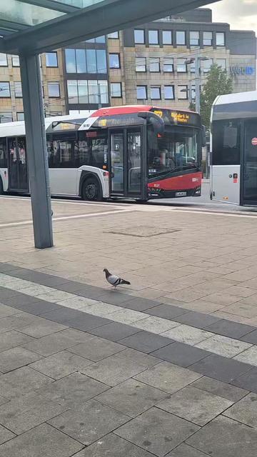 @Nele spotterin 💖🥰