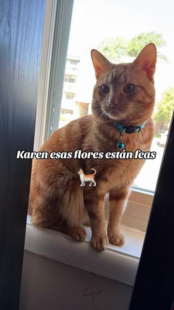 @Josselyn