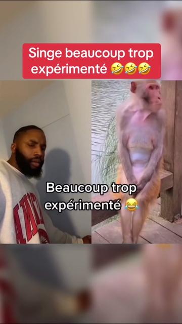 @vien_rire3