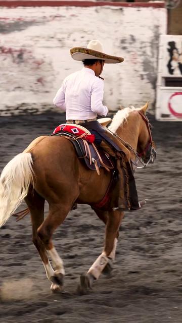 @Norteño la Herencia