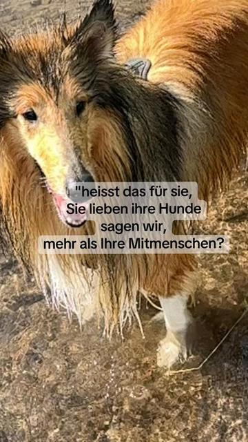 @Jasmin Werner