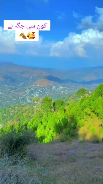 @🕊️.⋆کلمدم کشمیری.⋆👸