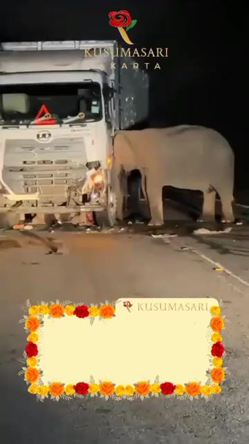 @Toko Bunga Kusumasari